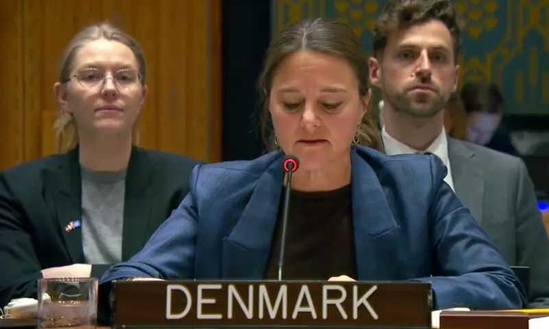 TTP a ‘Serious Threat’ in South and Central Asia, Supported by Afghan Authorities, Denmark Tells UNSC