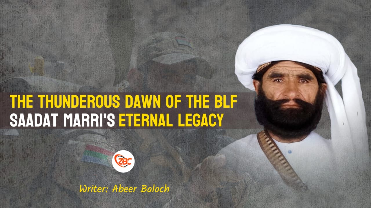 WhatsApp Image 2025 12 12 at 2.01.59 PM