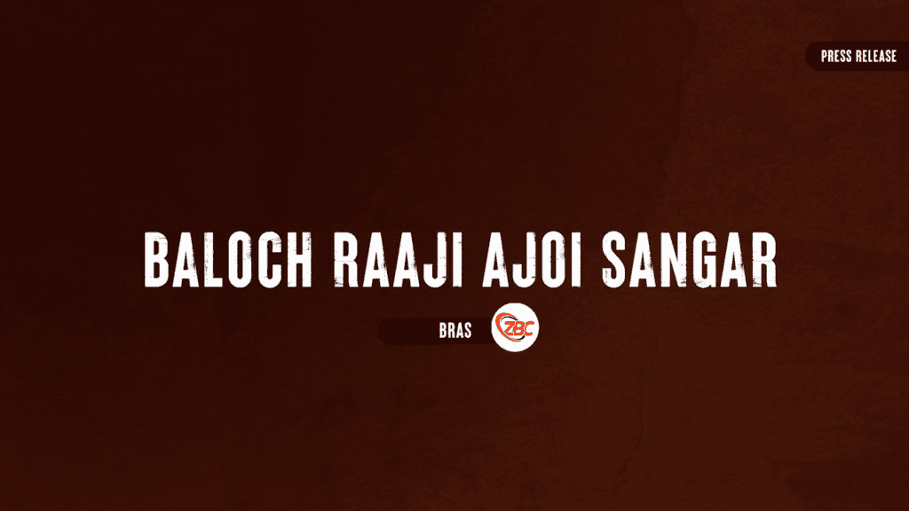 BRAS Releases 2025 Annual Report Claiming 174 Attacks Across Balochistan