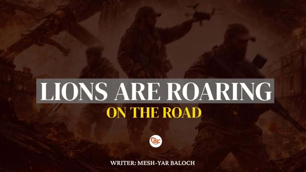 Lions Are Roaring on the Road