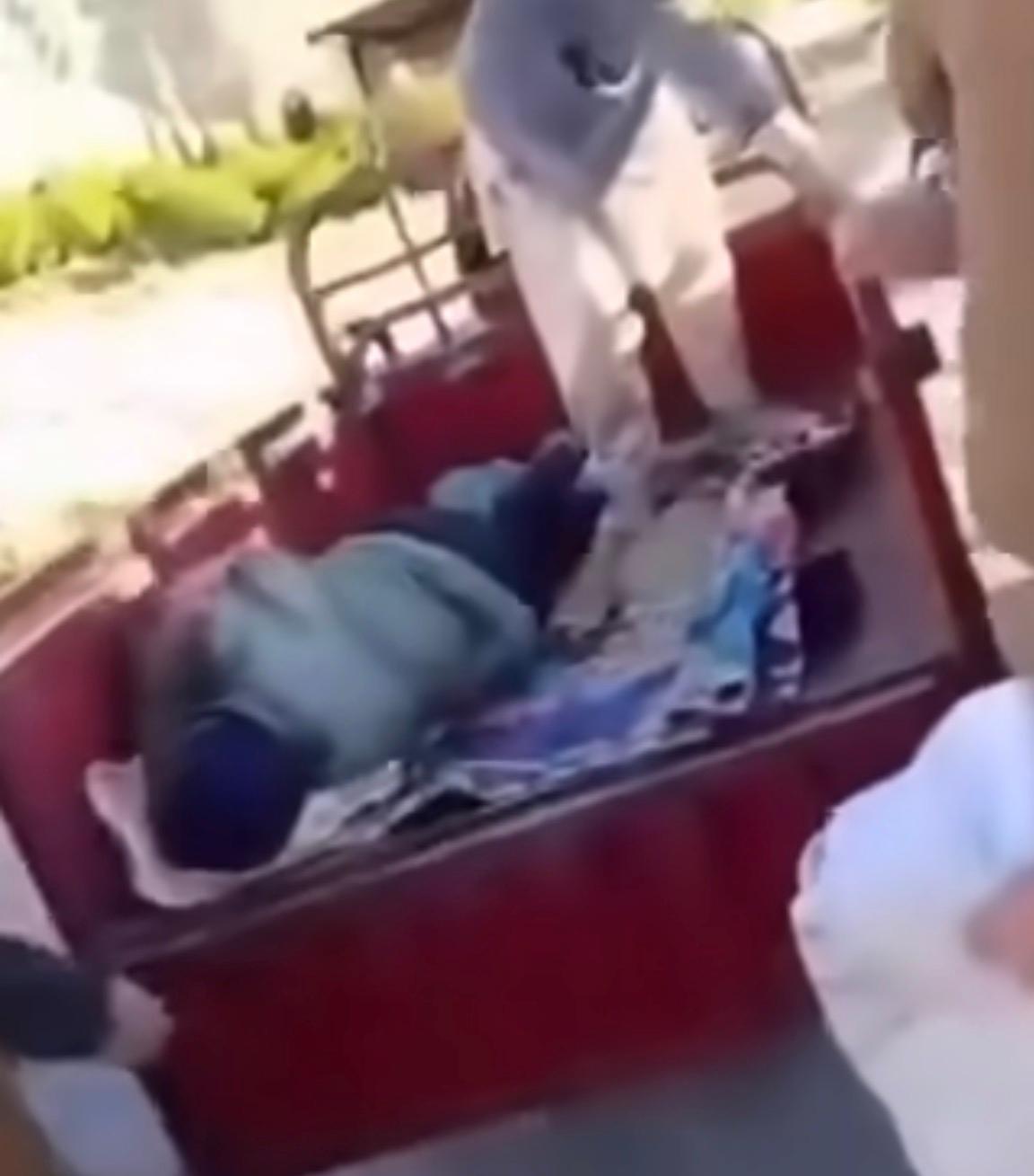 WhatsApp Image 2026 04 12 at 11.35.49 AM