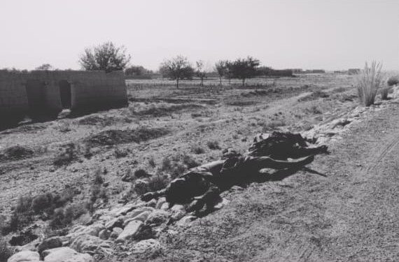 Five Bodies Recovered Near Datu Turn on National Highway in Mastung